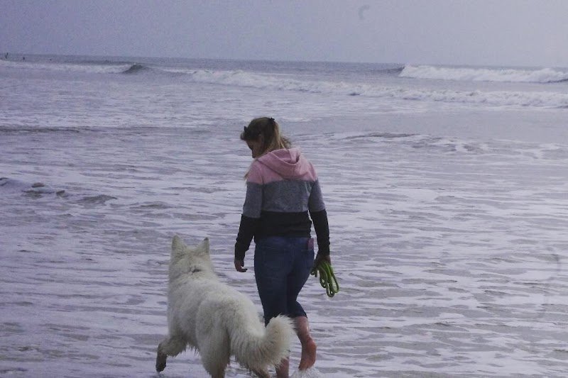 Oxmo'Educ - Educateur & comportementaliste canin - photo 2