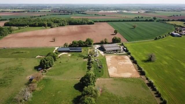 PENSION CANINE et ELEVAGE DU CHAMP DE L'ORMEAU