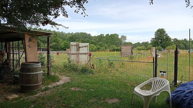 Club canin Ruscadien - photo 1