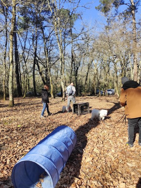 Pole Canin - photo 3