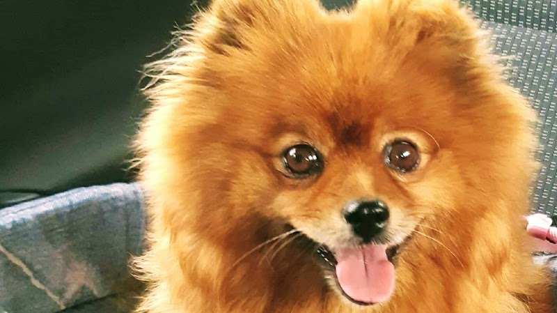 Elevage canin de La Marquetterie