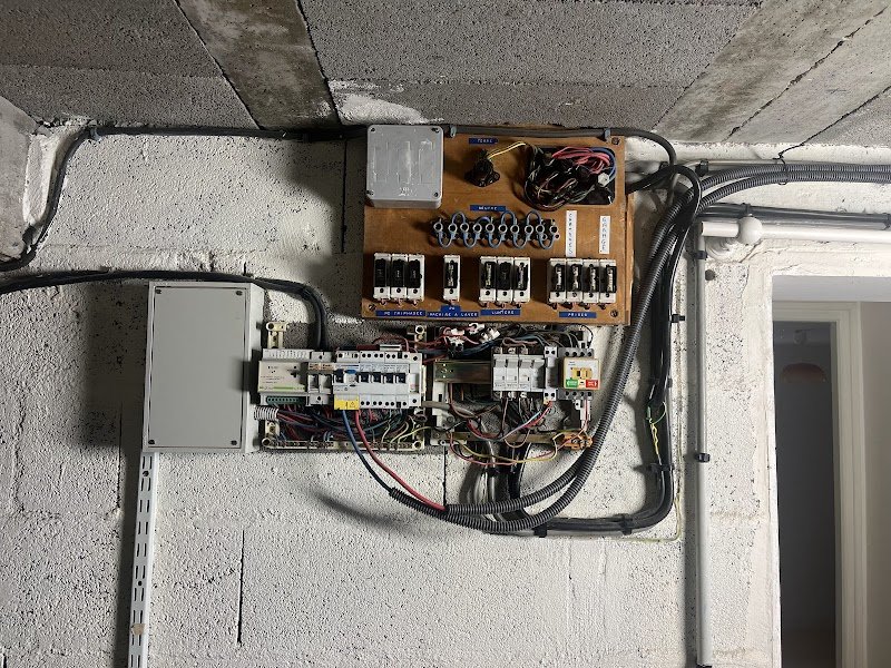 Les Chiens du Marais - photo 1