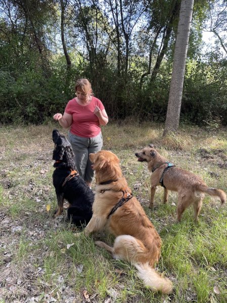 EDUCOPOIL33 EDUCATEUR CANIN COMPORTEMENTALISTE - photo 2