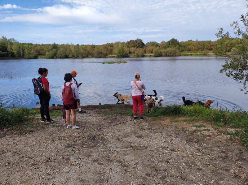 EDUCOPOIL33 EDUCATEUR CANIN COMPORTEMENTALISTE - photo 3