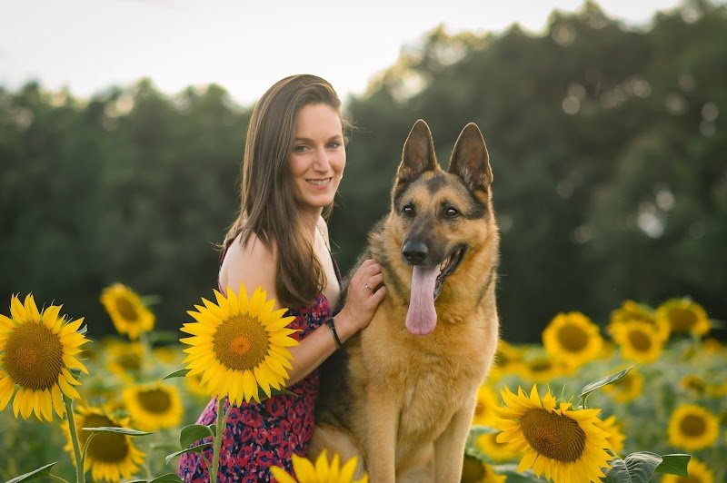 Feroce ECC - Educateur Comportementaliste Canin Mont de Marsan - photo 1