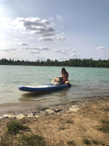 Feroce ECC - Educateur Comportementaliste Canin Mont de Marsan - photo 3