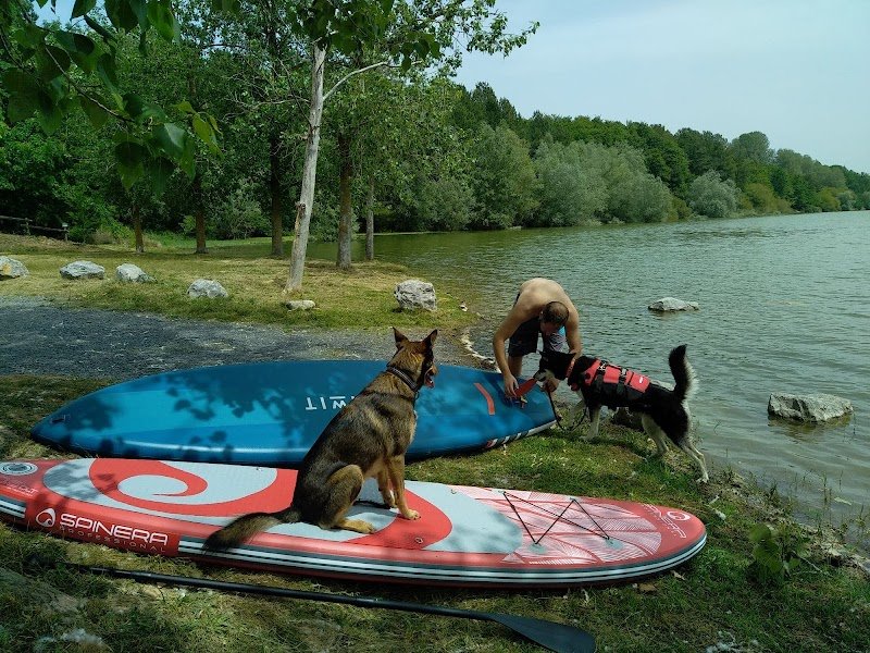 NATURE DOG EDUCATION | Éducateur canin Comportementaliste | Mont-de-Marsan - photo 3