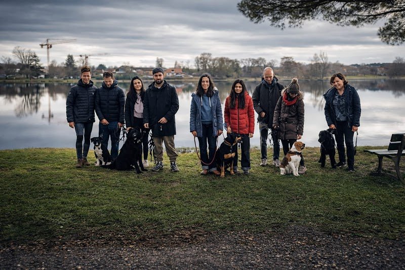 Good dog attitude - photo 3