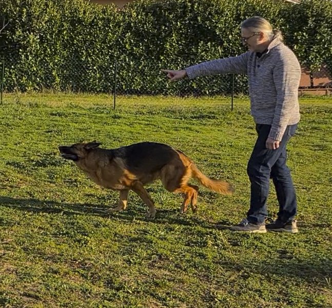 Educ ton chien éducateur canin Landes Gers Centre de formation prévention des risques canin et langage canin - photo 1