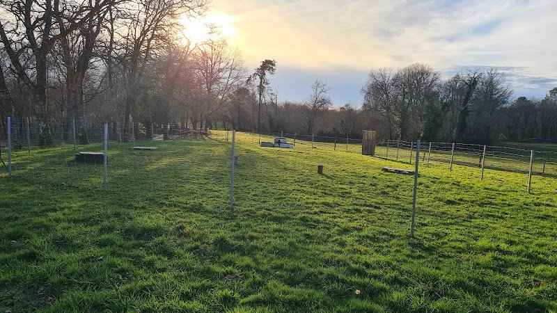 Educ ton chien éducateur canin Landes Gers Centre de formation prévention des risques canin et langage canin - photo 2
