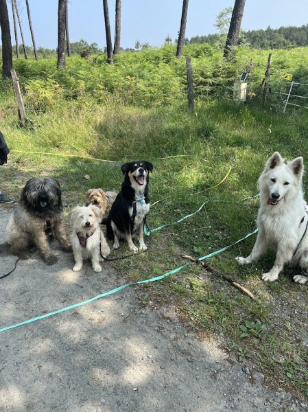 Com’uni Canin - photo 2