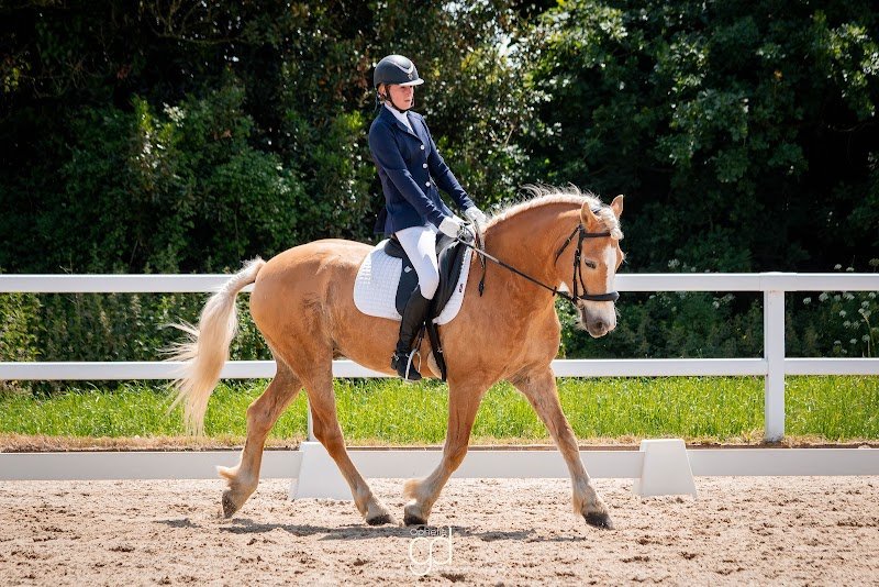 Atlantique Dressage - photo 3